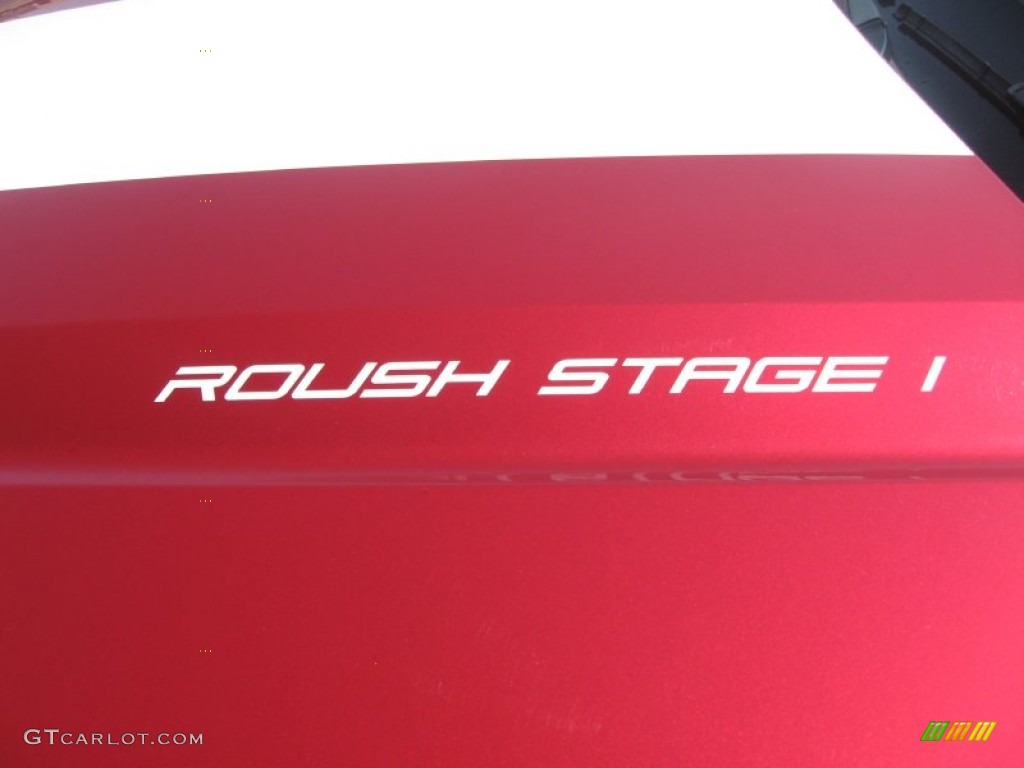 2010 Mustang Roush Stage 1 Coupe - Red Candy Metallic / Charcoal Black photo #10
