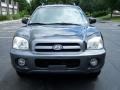 2006 Black Obsidian Hyundai Santa Fe GLS 4WD  photo #2