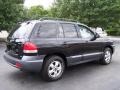 2006 Black Obsidian Hyundai Santa Fe GLS 4WD  photo #6