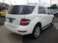 Arctic White - ML 350 4Matic Photo No. 4