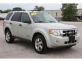 2008 Light Sage Metallic Ford Escape XLT V6  photo #3