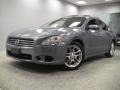Ocean Gray - Maxima 3.5 SV Photo No. 1