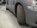 Ocean Gray - Maxima 3.5 SV Photo No. 2