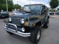 Moss Green Pearlcoat - Wrangler X 4x4 Photo No. 1