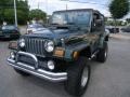 2005 Moss Green Pearlcoat Jeep Wrangler X 4x4  photo #1