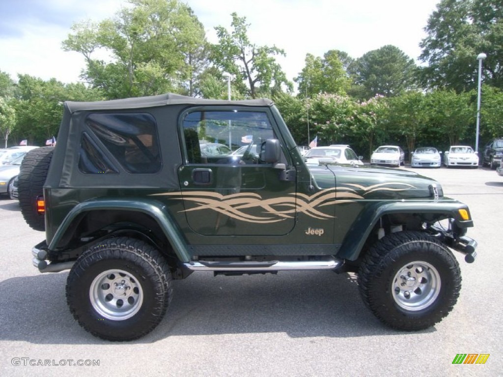 2005 Wrangler X 4x4 - Moss Green Pearlcoat / Camouflage photo #6