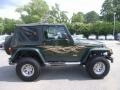 2005 Moss Green Pearlcoat Jeep Wrangler X 4x4  photo #6