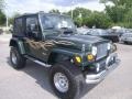 2005 Moss Green Pearlcoat Jeep Wrangler X 4x4  photo #7