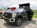 Dark Blue Pearl Metallic 2011 Ford F550 Super Duty XL Regular Cab 4x4 Dump Truck Exterior