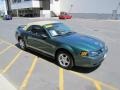 2002 Electric Green Metallic Ford Mustang V6 Convertible  photo #23