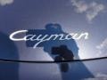 Atlas Grey Metallic - Cayman  Photo No. 24