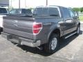 Sterling Grey Metallic 2011 Ford F150 Lariat SuperCrew 4x4 Exterior