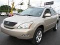 Savannah Beige Metallic - RX 330 Photo No. 5