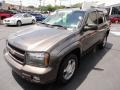 Desert Brown Metallic - TrailBlazer LT 4x4 Photo No. 3