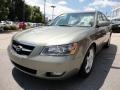 Golden Beige - Sonata Limited V6 Photo No. 3