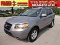 Steel Gray - Santa Fe GLS Photo No. 1