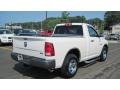 2009 Stone White Dodge Ram 1500 ST Regular Cab  photo #5