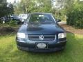 Blue Graphite Metallic - Passat GLS 1.8T Sedan Photo No. 7