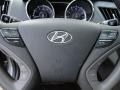 Gray Controls Photo for 2011 Hyundai Sonata #50546572