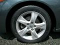 Polished Metal Metallic - TSX Sedan Photo No. 29