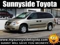 2006 Linen Gold Metallic Dodge Grand Caravan SE  photo #1