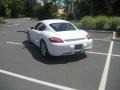 Carrara White - Cayman  Photo No. 4