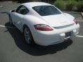 Carrara White - Cayman  Photo No. 11