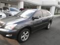 Flint Mica - RX 350 AWD Photo No. 1