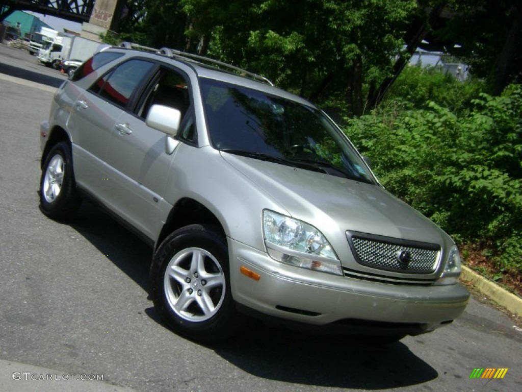 2001 RX 300 AWD - Millennium Silver Metallic / Black photo #30