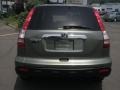 2007 Green Tea Metallic Honda CR-V EX-L 4WD  photo #5