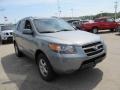 Platinum Sage - Santa Fe GLS 4WD Photo No. 8