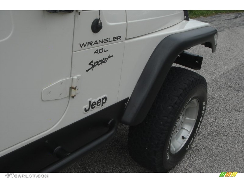 1999 Wrangler Sport 4x4 - Stone White / Agate photo #13