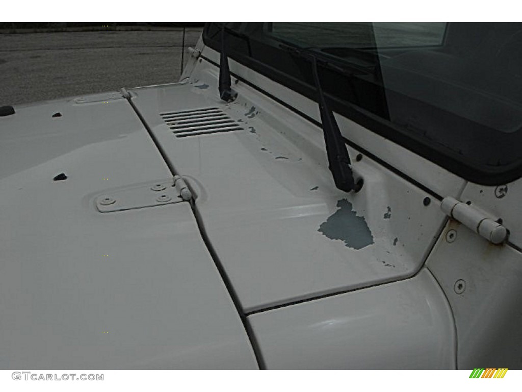 1999 Wrangler Sport 4x4 - Stone White / Agate photo #18