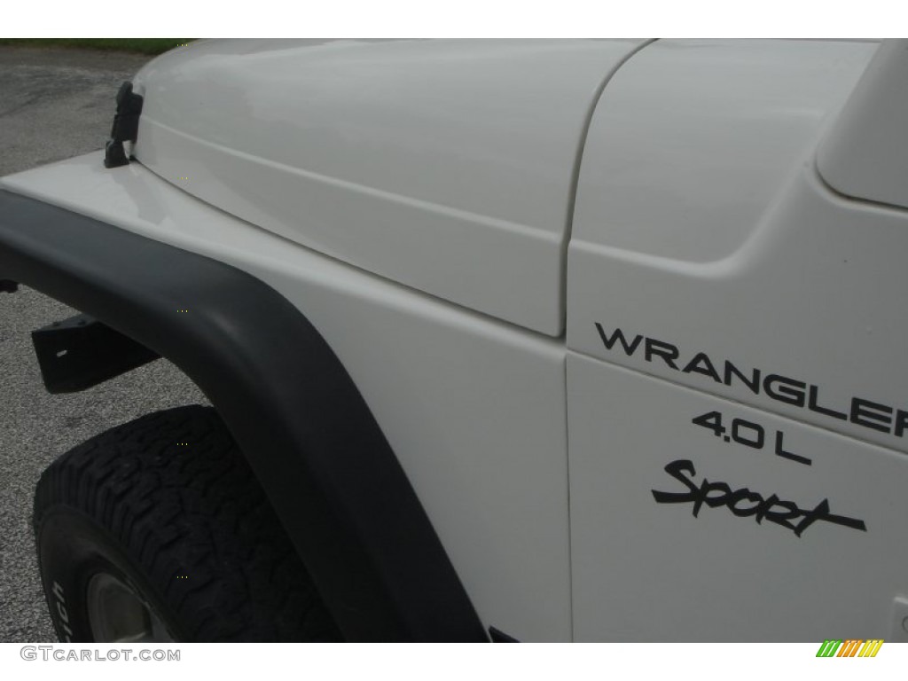 1999 Wrangler Sport 4x4 - Stone White / Agate photo #42