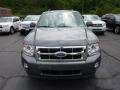2011 Sterling Grey Metallic Ford Escape XLT 4WD  photo #6