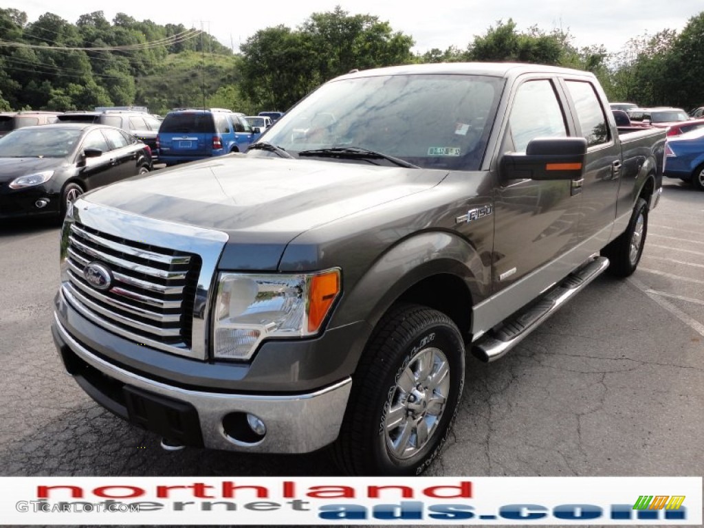 2011 F150 XLT SuperCrew 4x4 - Sterling Grey Metallic / Steel Gray photo #3