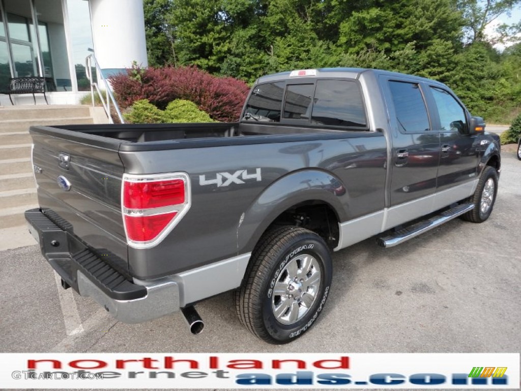 2011 F150 XLT SuperCrew 4x4 - Sterling Grey Metallic / Steel Gray photo #6