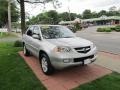Billet Silver Metallic - MDX Touring Photo No. 3