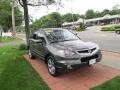 Polished Metal Metallic - RDX SH-AWD Technology Photo No. 3