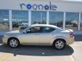 White Gold - Avenger R/T Photo No. 3