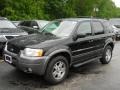 2004 Black Ford Escape XLT V6 4WD  photo #1