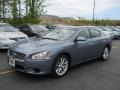 2010 Ocean Gray Nissan Maxima 3.5 SV  photo #1