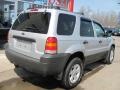 2005 Silver Metallic Ford Escape XLT V6 4WD  photo #2