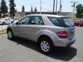 Pewter Metallic - ML 350 4Matic Photo No. 11