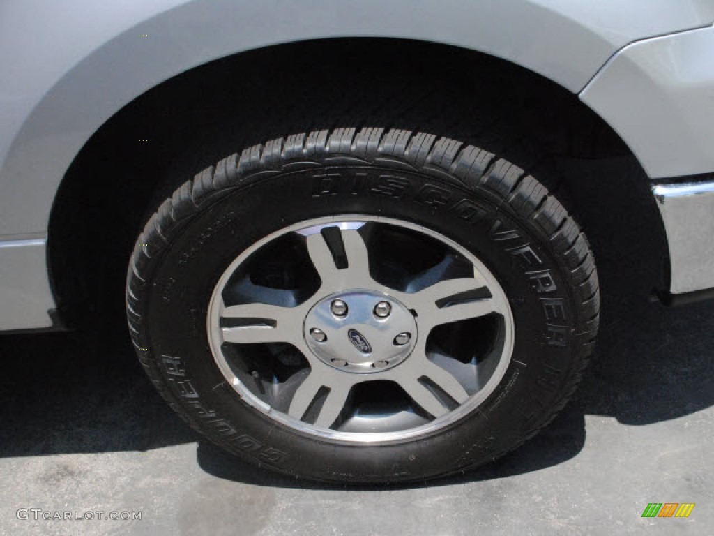 2006 F150 XLT SuperCrew - Silver Metallic / Medium/Dark Flint photo #8