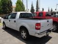 2006 Silver Metallic Ford F150 XLT SuperCrew  photo #9