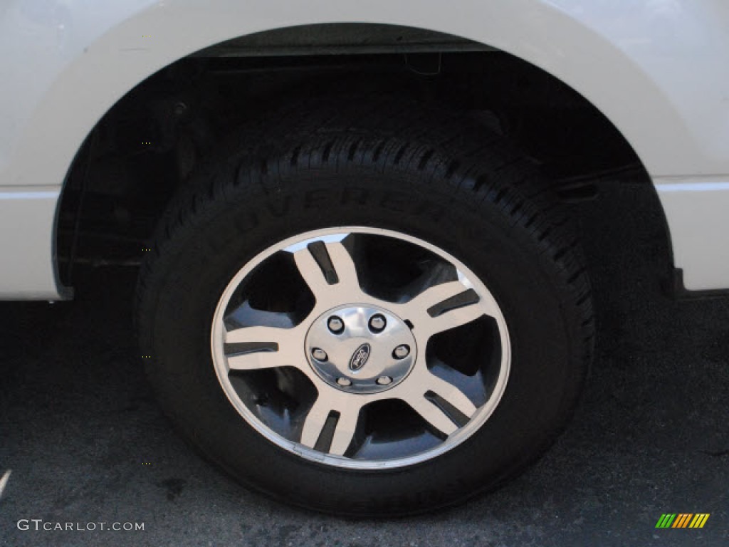 2006 F150 XLT SuperCrew - Silver Metallic / Medium/Dark Flint photo #10