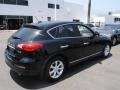 2010 Black Obsidian Infiniti EX 35 Journey  photo #9