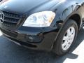 Black - ML 350 4Matic Photo No. 4