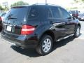 Black - ML 350 4Matic Photo No. 11